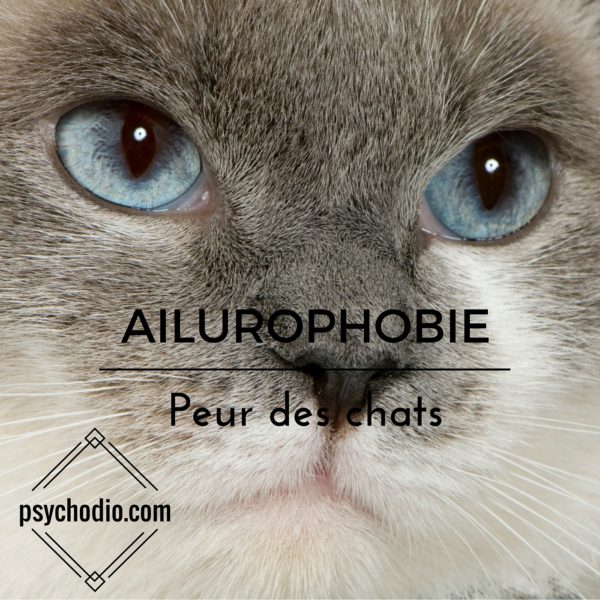 Psychodio.com séance hypnose pour ailurophobie, peur des chats