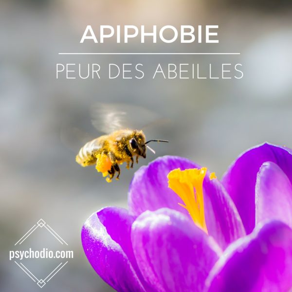 Psychodio.com séance hypnose pour apiphobie, peur des abeilles, peur des piqures