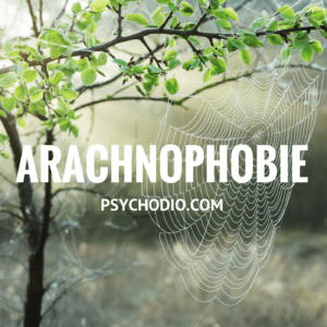 Psychodio.com séance hypnose pour arachnophobie, peur des araignées
