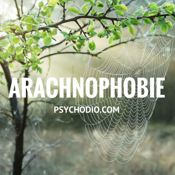 Psychodio.com séance hypnose pour arachnophobie, peur des araignées