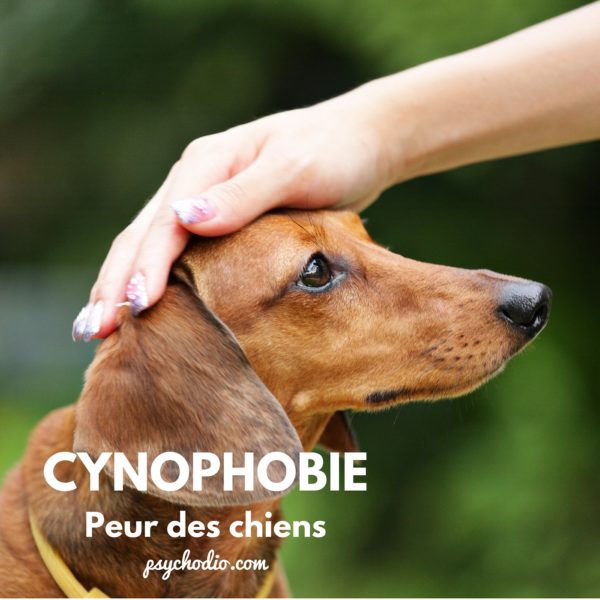 Psychodio.com séance hypnose pour cynophobie, peur des chiens